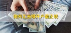 交易员可以一秒买入，鑫圣投资app下载