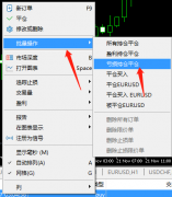 这也是一定的固定利润-mt5平台骗局套路