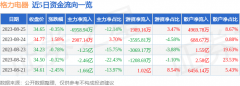 游资资金净流入1989.16万元？中国股市行情走势