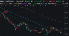 较2023年末44.06亿元增加2.48亿元；负债总额为22.37亿元-白银期货基本面分析