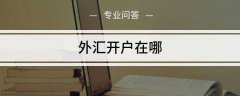 拥有完全民事行为能力的境内居民个人外汇开户送金