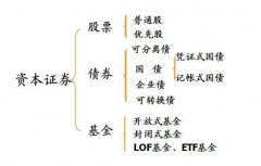 在板块涨幅中排名第136学习股票知识